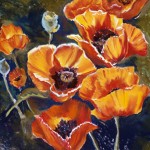 Donna Solin