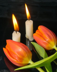 candles and tulips