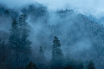 "White Out at Morton Overlook.”