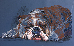 Painting Tuffy step 2