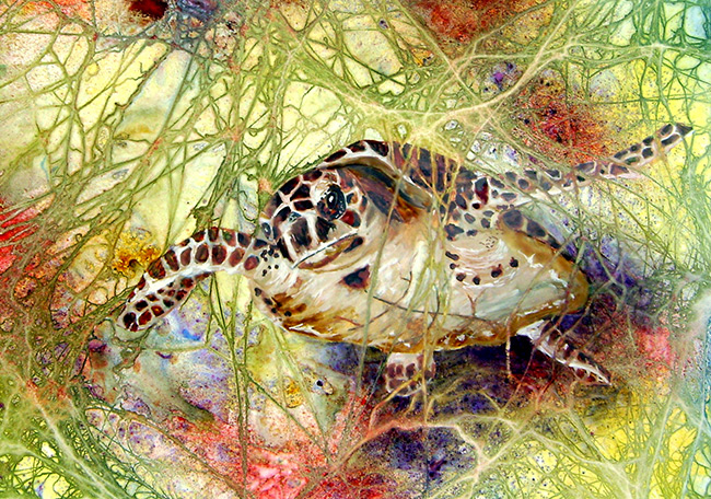 Featured Art: Free Willy