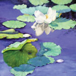 watercolor painting