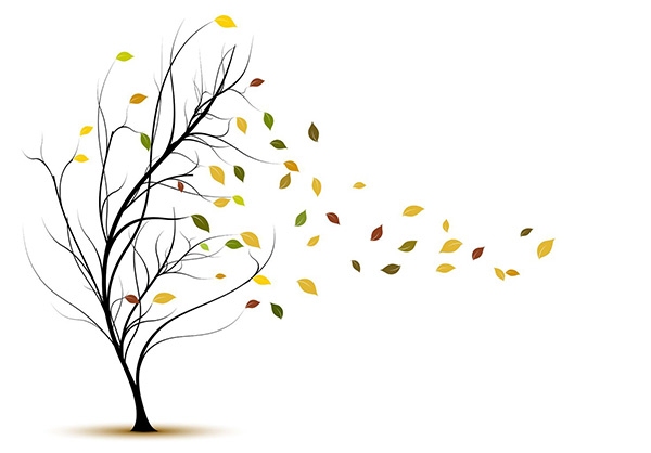 Featured Poem: Bare Branches Featured Poem: Bare Branches