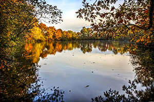 Featured Poem: Mist on the Water