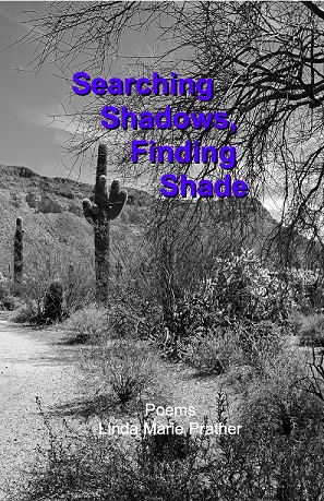 Searching Shadows Finding Shade