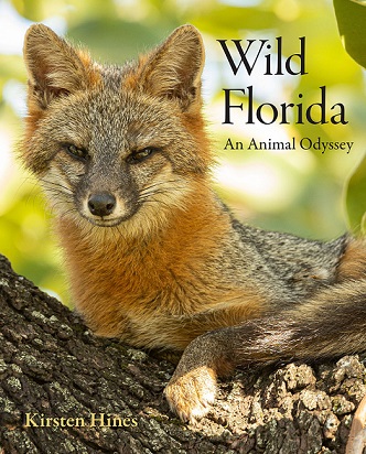 Wild Florida An Animal Odyssey