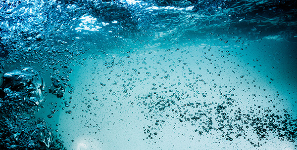 Featured Poem: Reflections