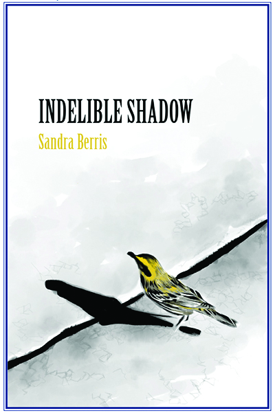 Indelible Shadow Cover