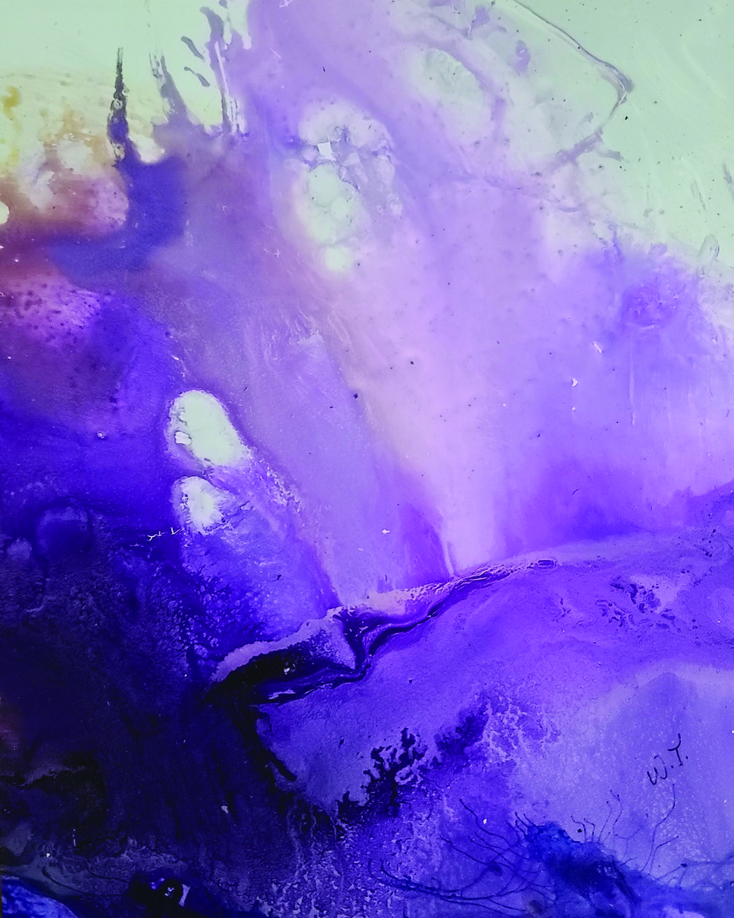 Surge by Winifred Thompson