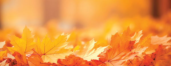 Featured Poem: Autumn Leaves