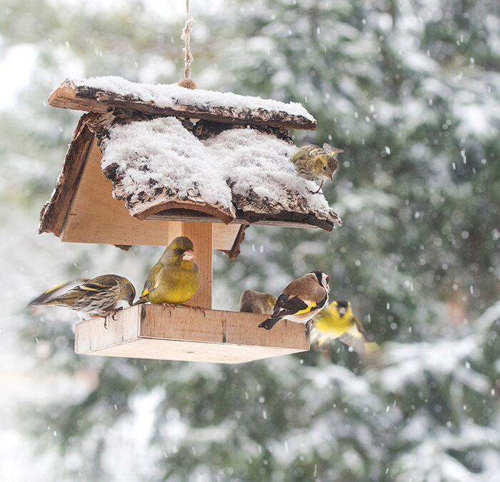 Featured Poem: A Wing and A Prayer Featured Poem: A Wing and A Prayer