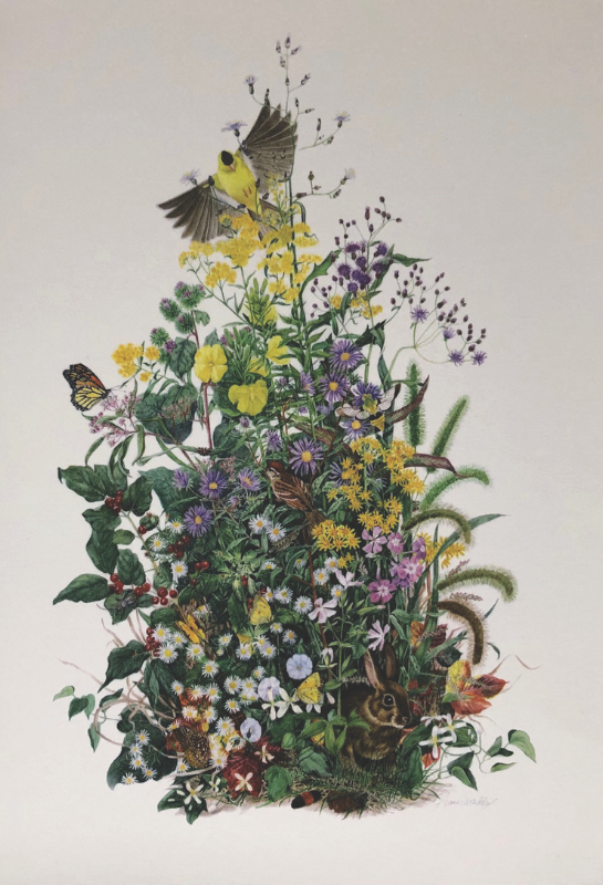Hedgerow by Anne Maddox