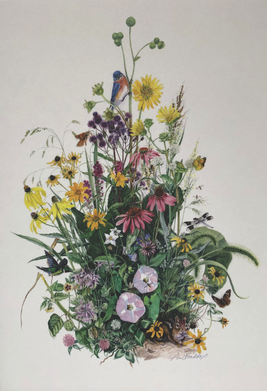 Prairie by Anne Maddox