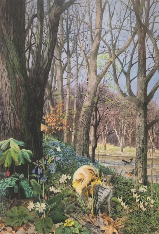 Woodland by Anne Maddox