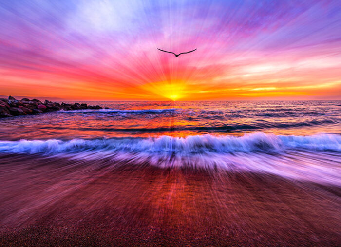 Featured Poem: The Butterfly Effect