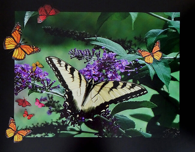 Featured Art: Magical Garden Featured Art: Magical Garden