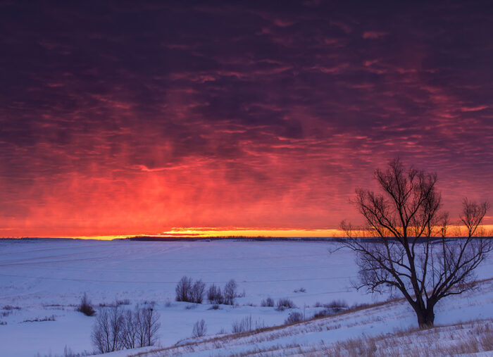 Featured Poem: Winter Solstice (Dodoitsu)