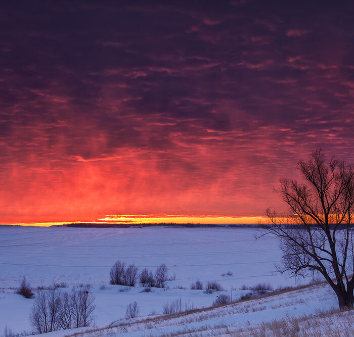 Featured Poem: Winter Solstice (Dodoitsu)