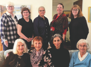 Diablo/Alameda-NLAPW members_November Meeting