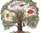 Growing Strong Branches